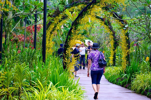 Vườn bách thảo Singapore đẹp tự nhiên