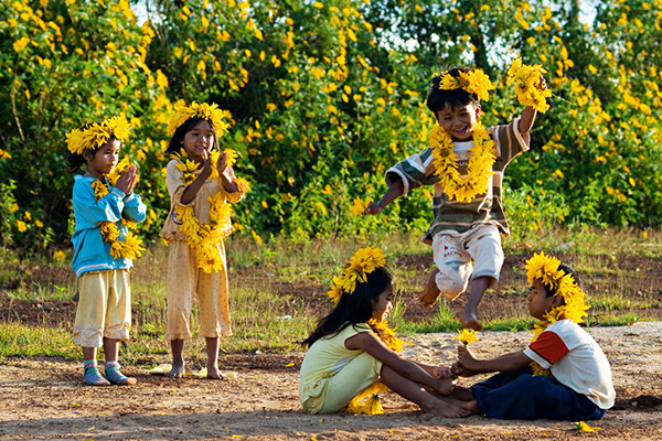Trẻ em vui đùa vào mùa hoa dã quỳ vàng rực